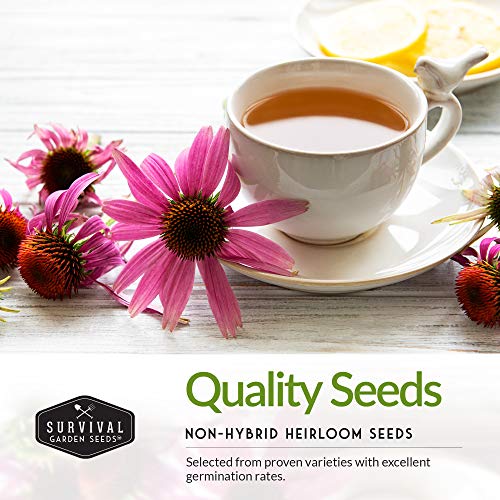 Herbal Tea Seed Collection - 5 Herbs to Grow for Herbal Tea