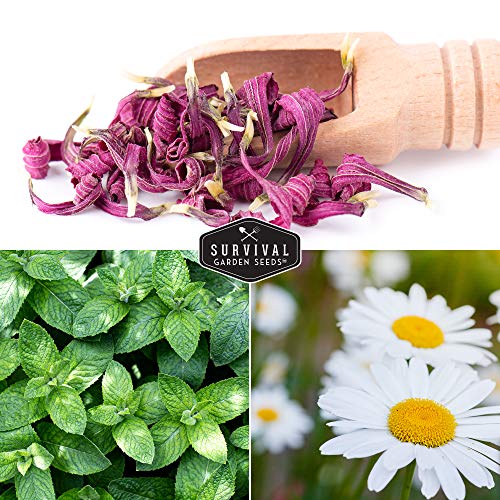 Herbal Tea Seed Collection - 5 Herbs to Grow for Herbal Tea