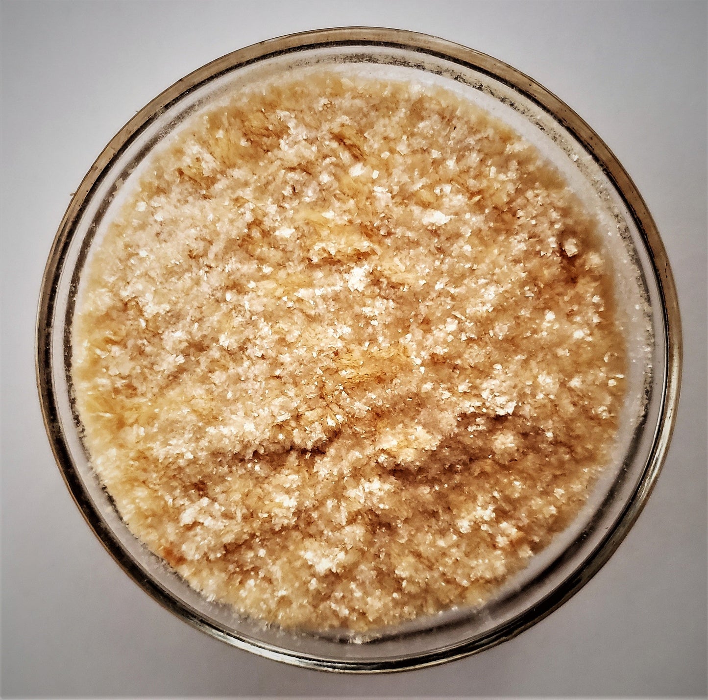 Elite Starter Bundle