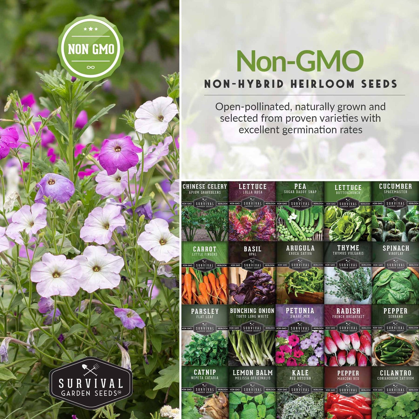 Apartment Kit Seed Vault - 20 Container Friendly Varieties