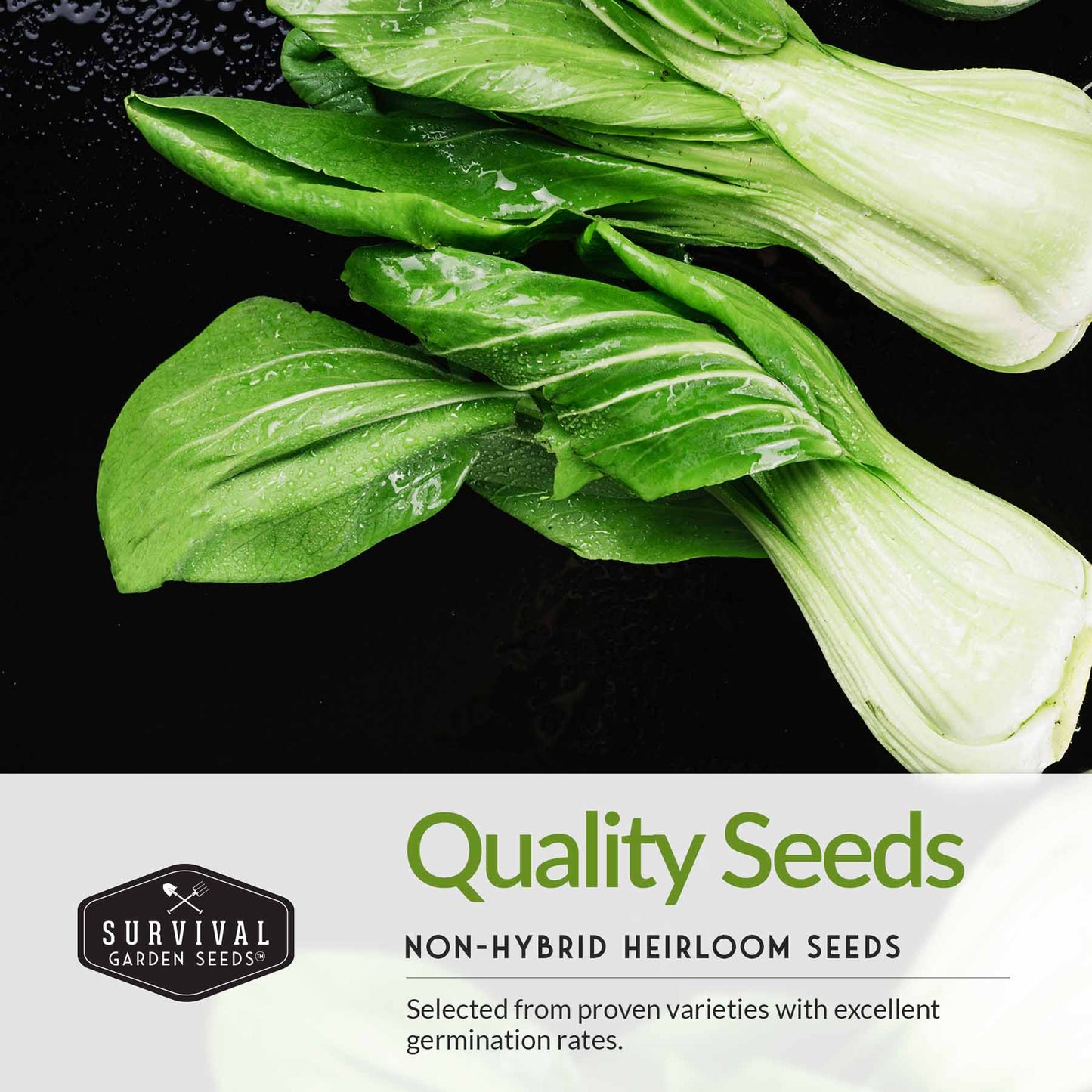 asian garden seeds Asian Vegetable Seed Collection