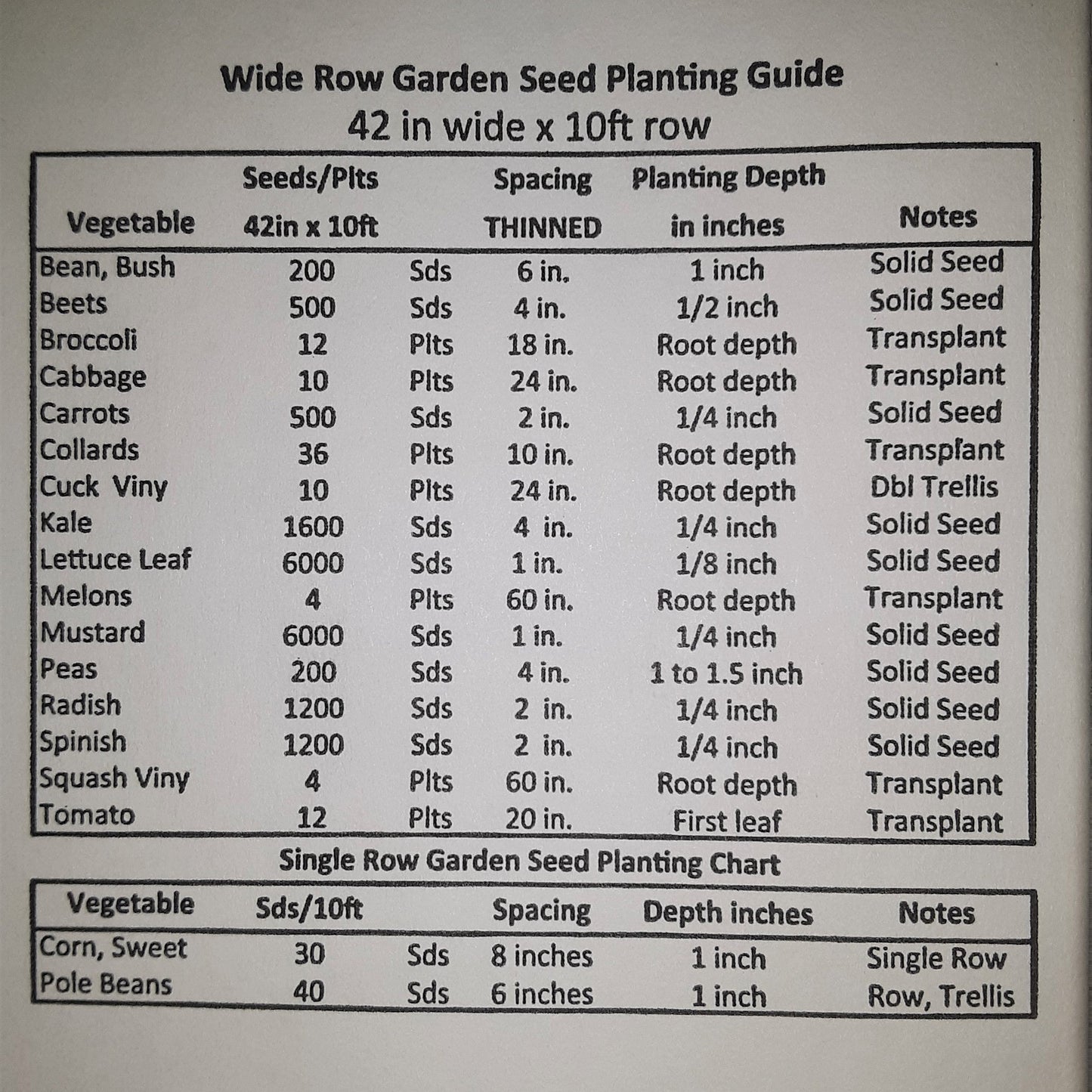 Yellow Heirloom Prolific Straightneck Summer Squash Seeds
