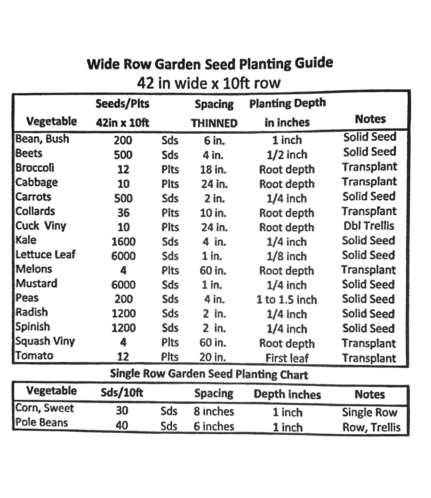 Italian Heirloom Long Purple Eggplant Seeds