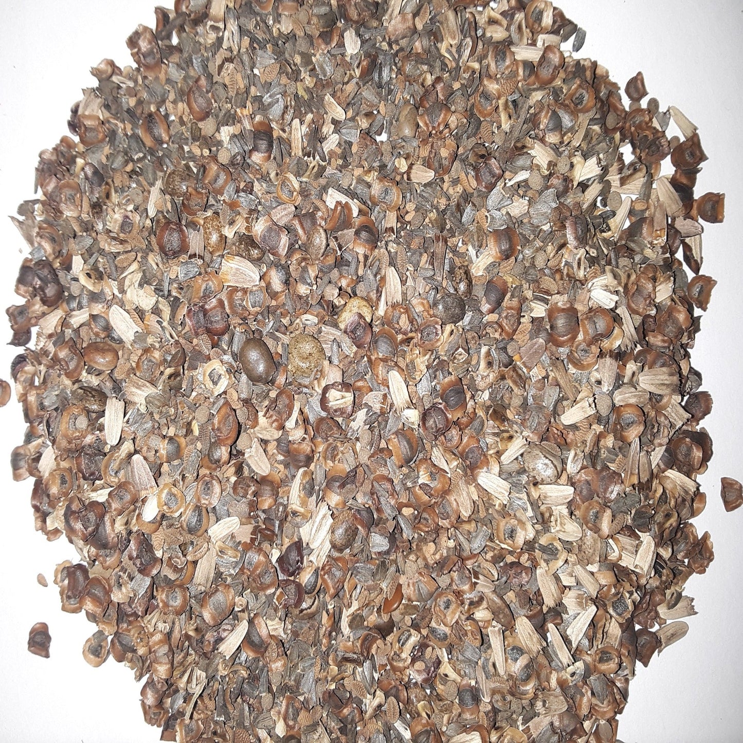 Bee Attractor Mix Seeds