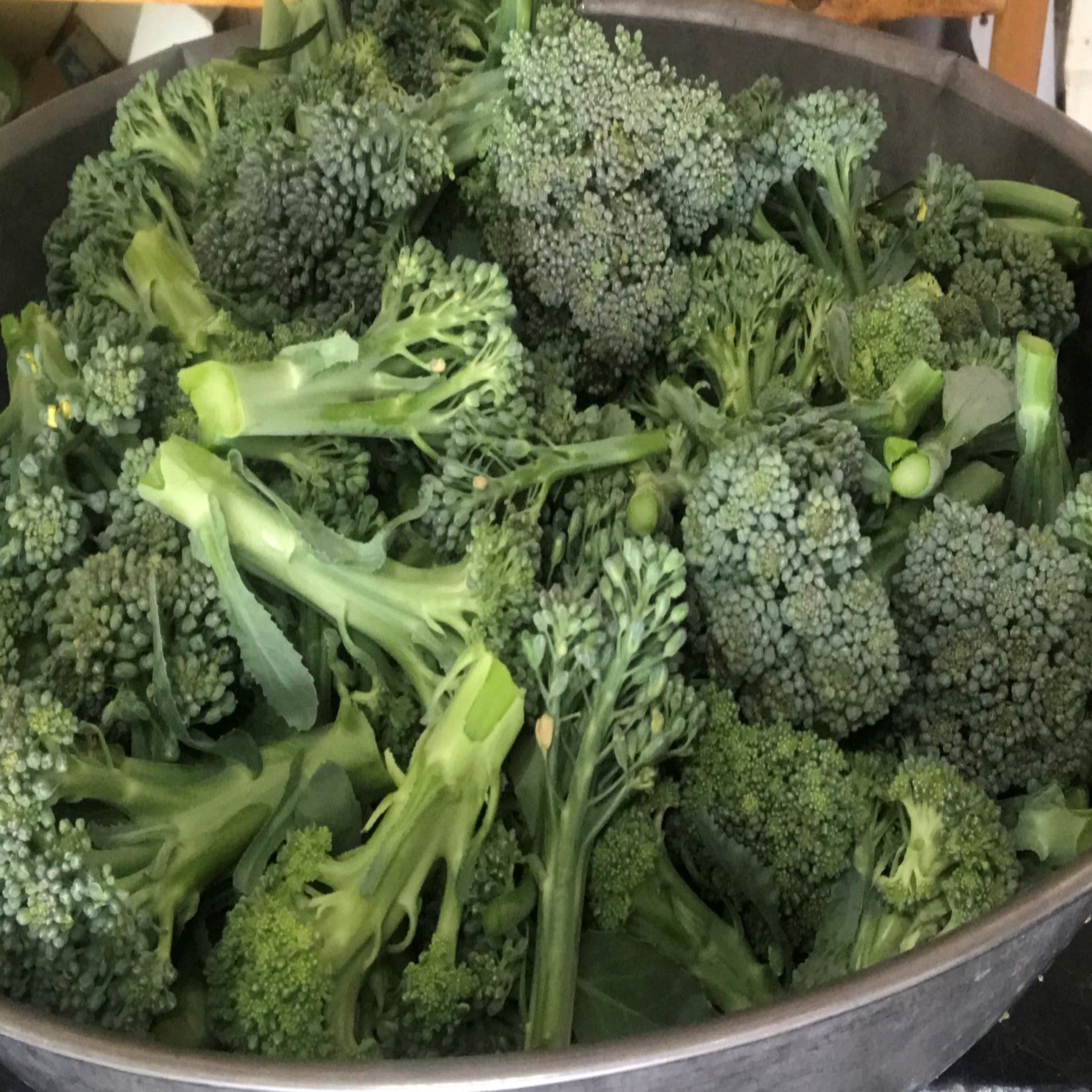 2lb Broccoli Broccoli Bargain Blend Seeds - LUMBRI WORMS & GARDEN, LLC
