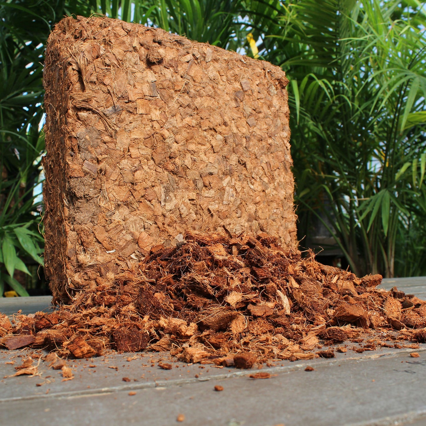 Coco Bliss - 10 LB Coco Husk Chip Blocks