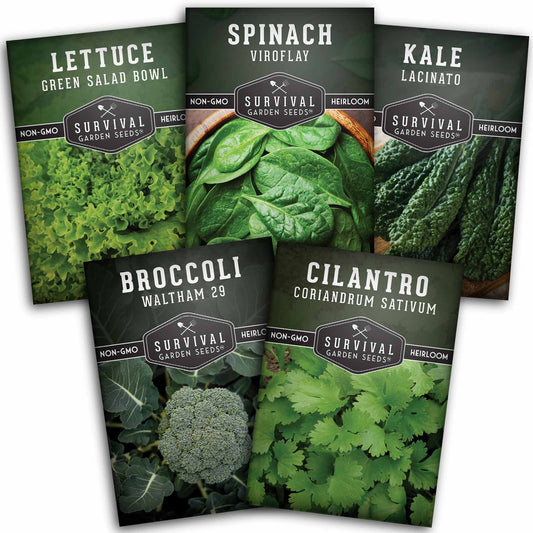 Cool Weather Vegetable Seed Collection - Spinach, Kale, Cilantro, Broccoli, and Leaf Lettuce