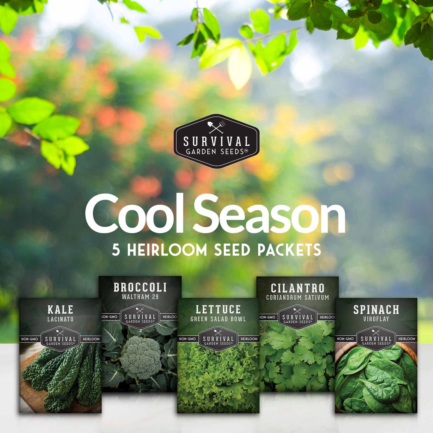 Cool Weather Vegetable Seed Collection - Spinach, Kale, Cilantro, Broccoli, and Leaf Lettuce