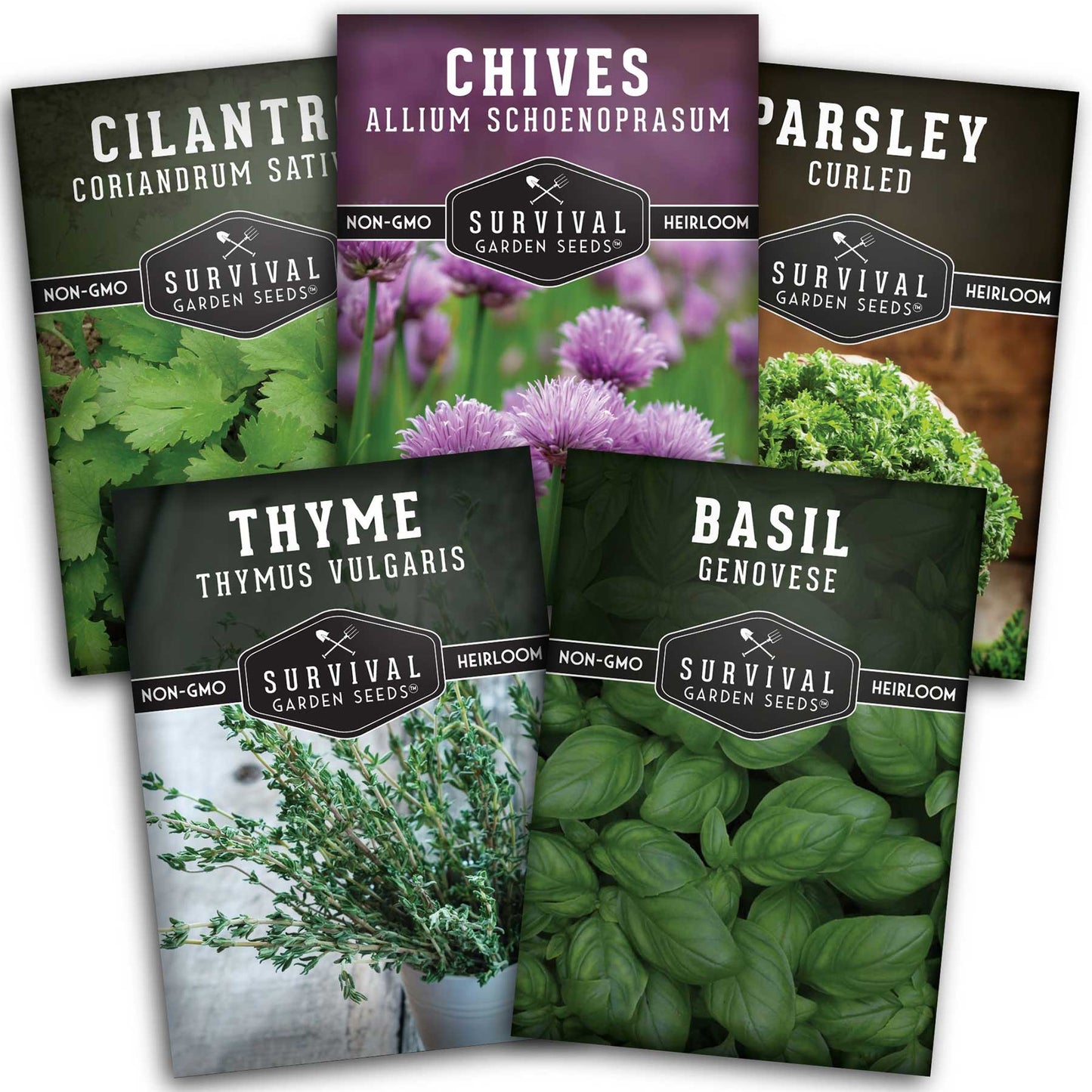 Culinary Herb Seed Collection - 5 Classic Culinary Herbs