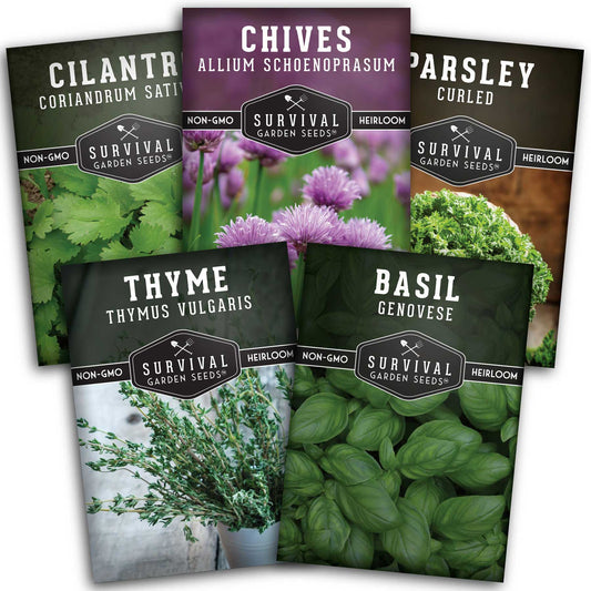Culinary Herb Seed Collection - 5 Classic Culinary Herbs