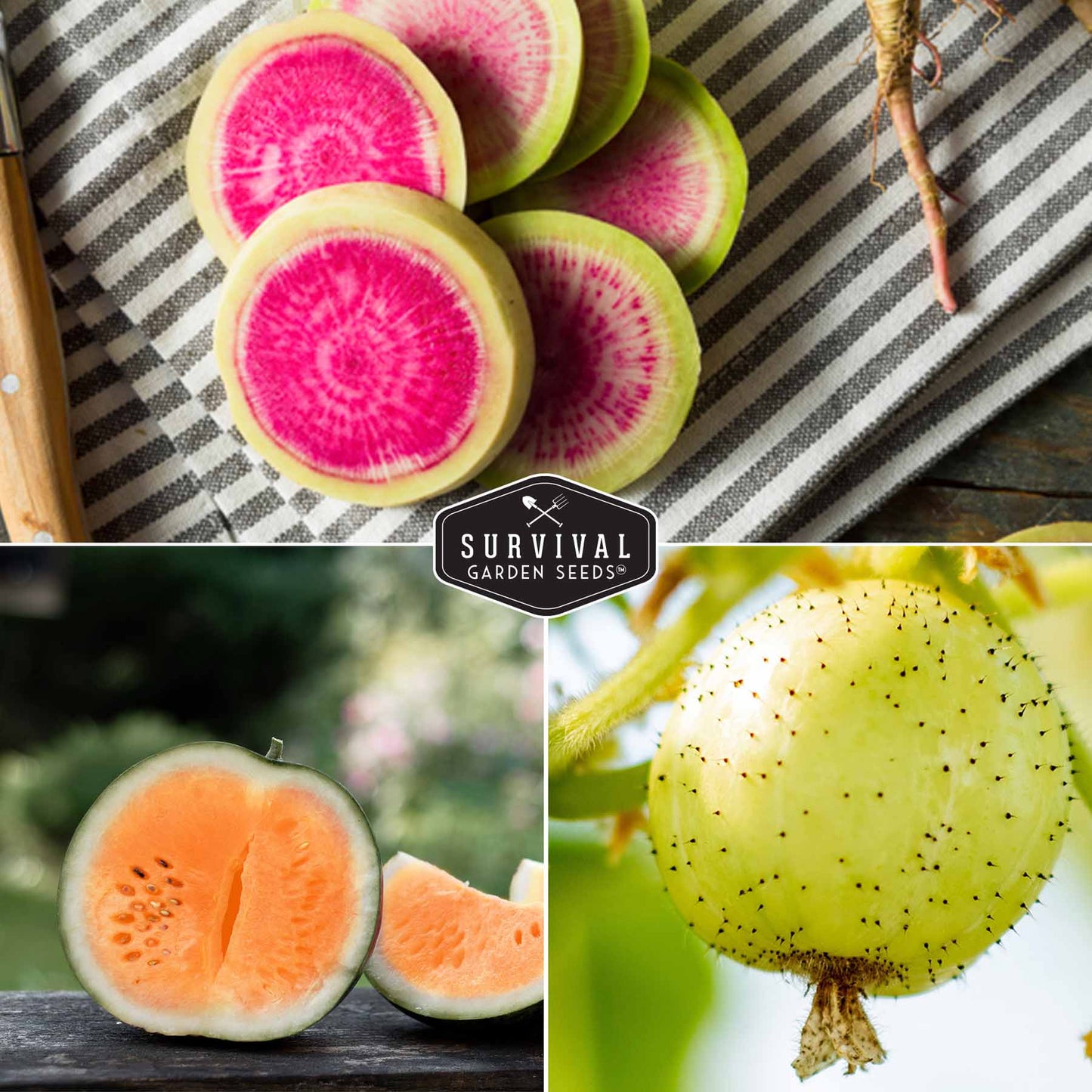 exotic garden seeds Survival Garden Seeds Rare Exotic Vegetable and Fruit 6 Packet Seed Collection one_size