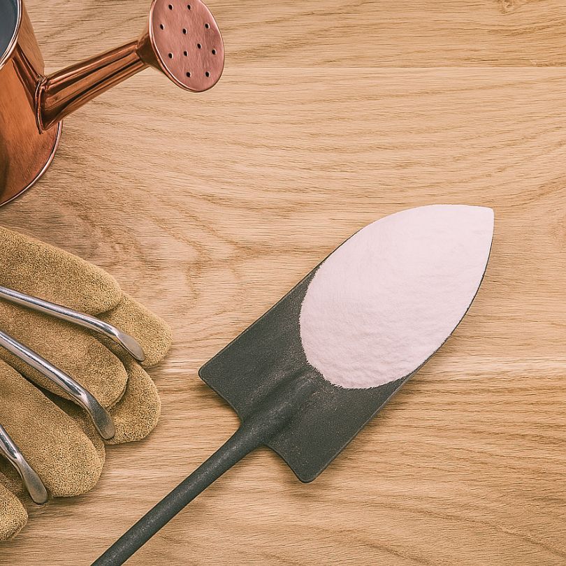 Manganese Sulfate 31% Powder (5 lb bag)