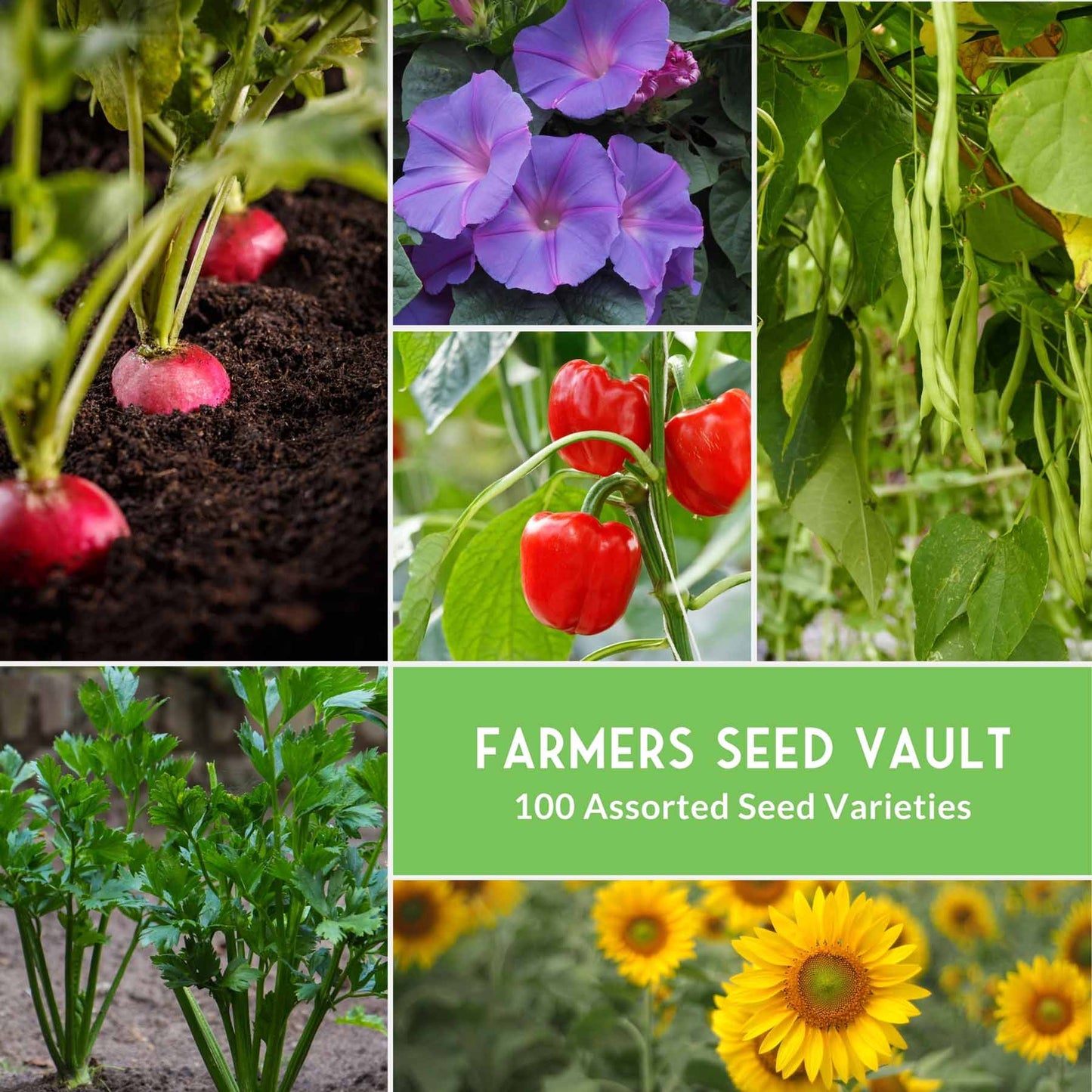 Farmers Survival Seed Vault - 100 Varieties