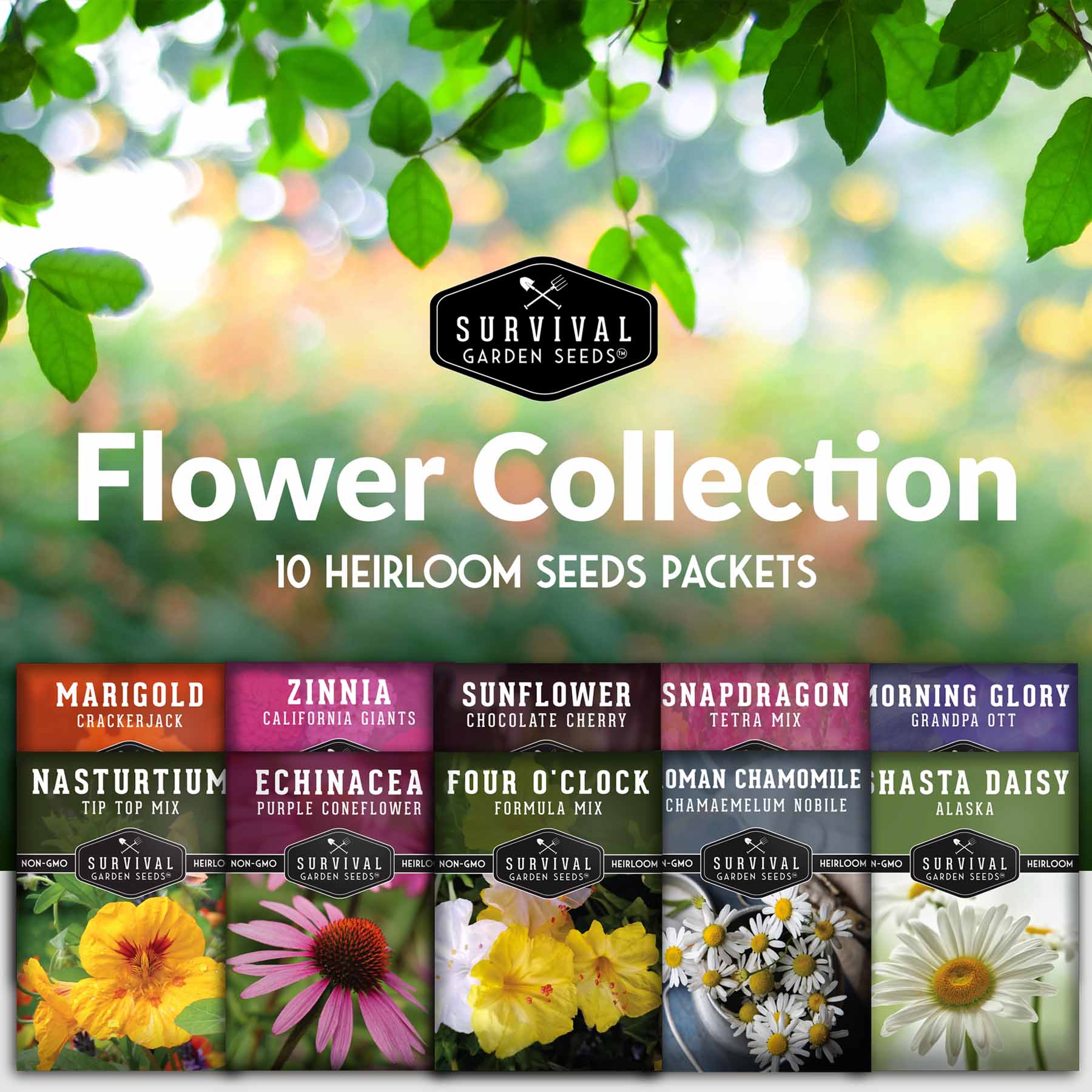 best seeds for flower beds 10 Heirloom Flower Seeds Collection