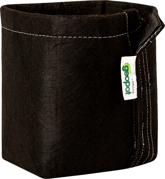 GeoPot Velcro Transplanter Grow Bags - Black