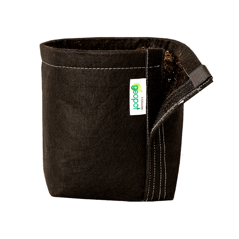 GeoPot Velcro Transplanter Grow Bags - Black