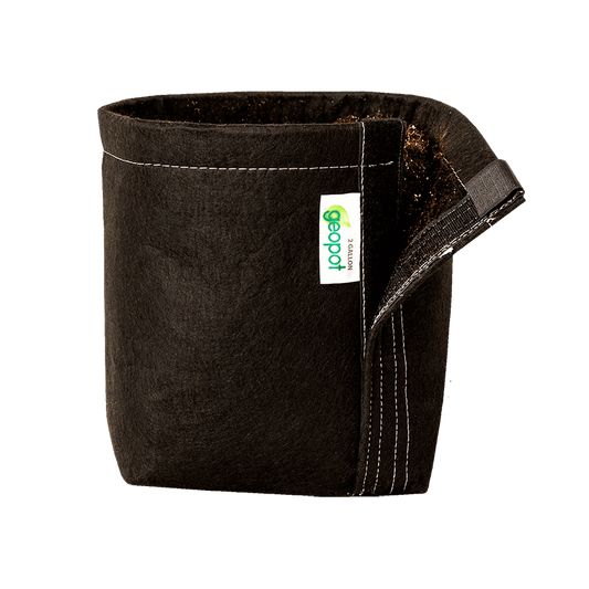 GeoPot Velcro Transplanter Grow Bags - Black