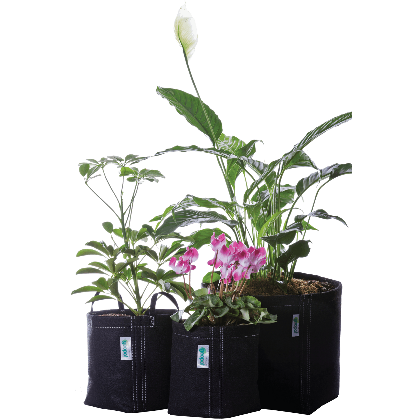 GeoPot Grow Bag Garden Kit