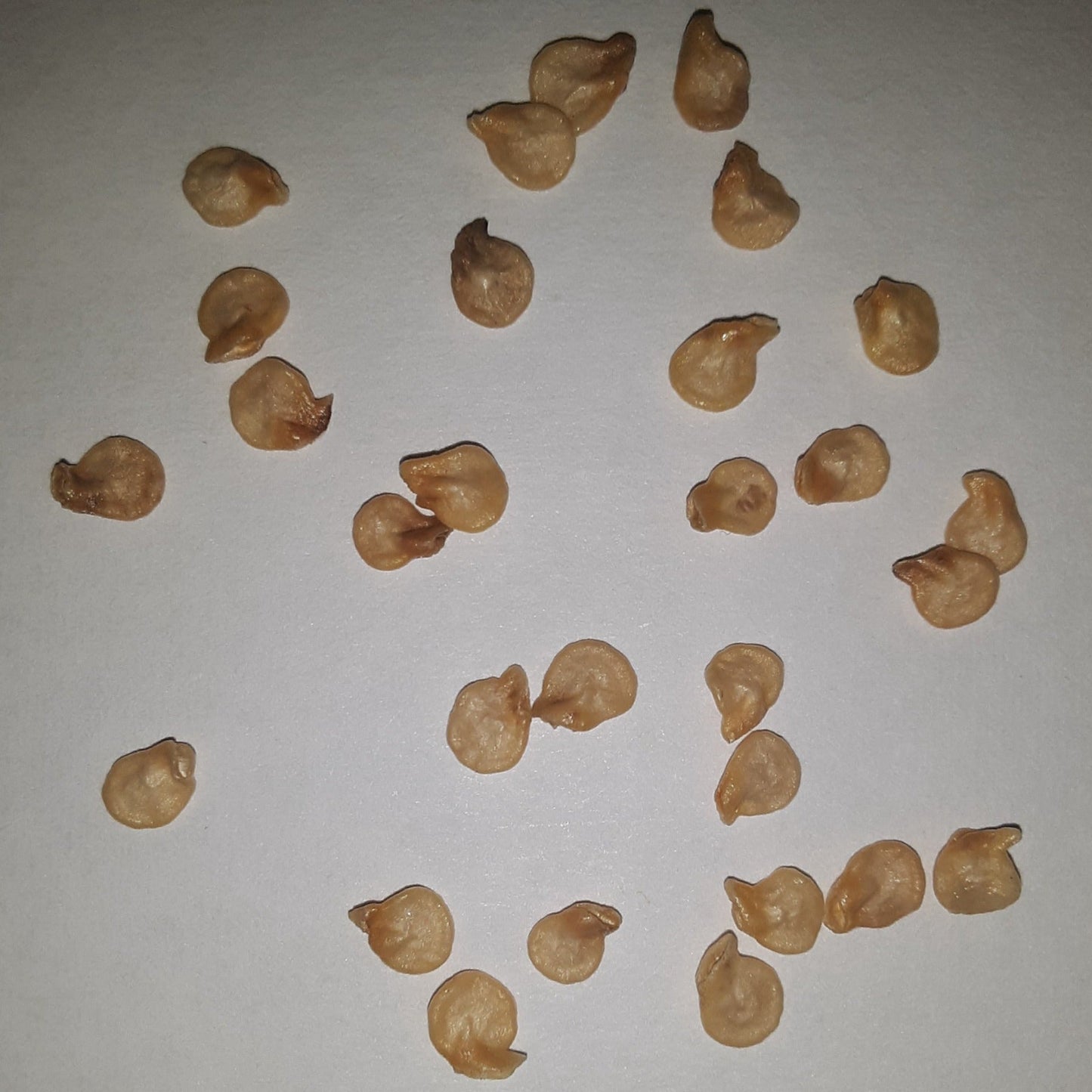 Habanero Orange VERY HOT Pepper Seeds