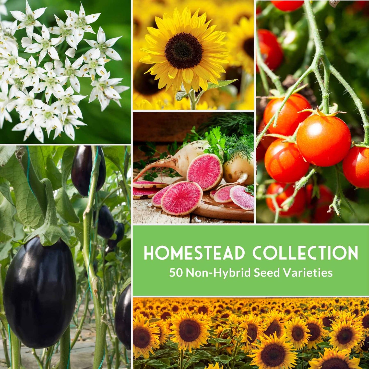 Homesteader Collection - 50 Varieties of Vegetables & Herbs