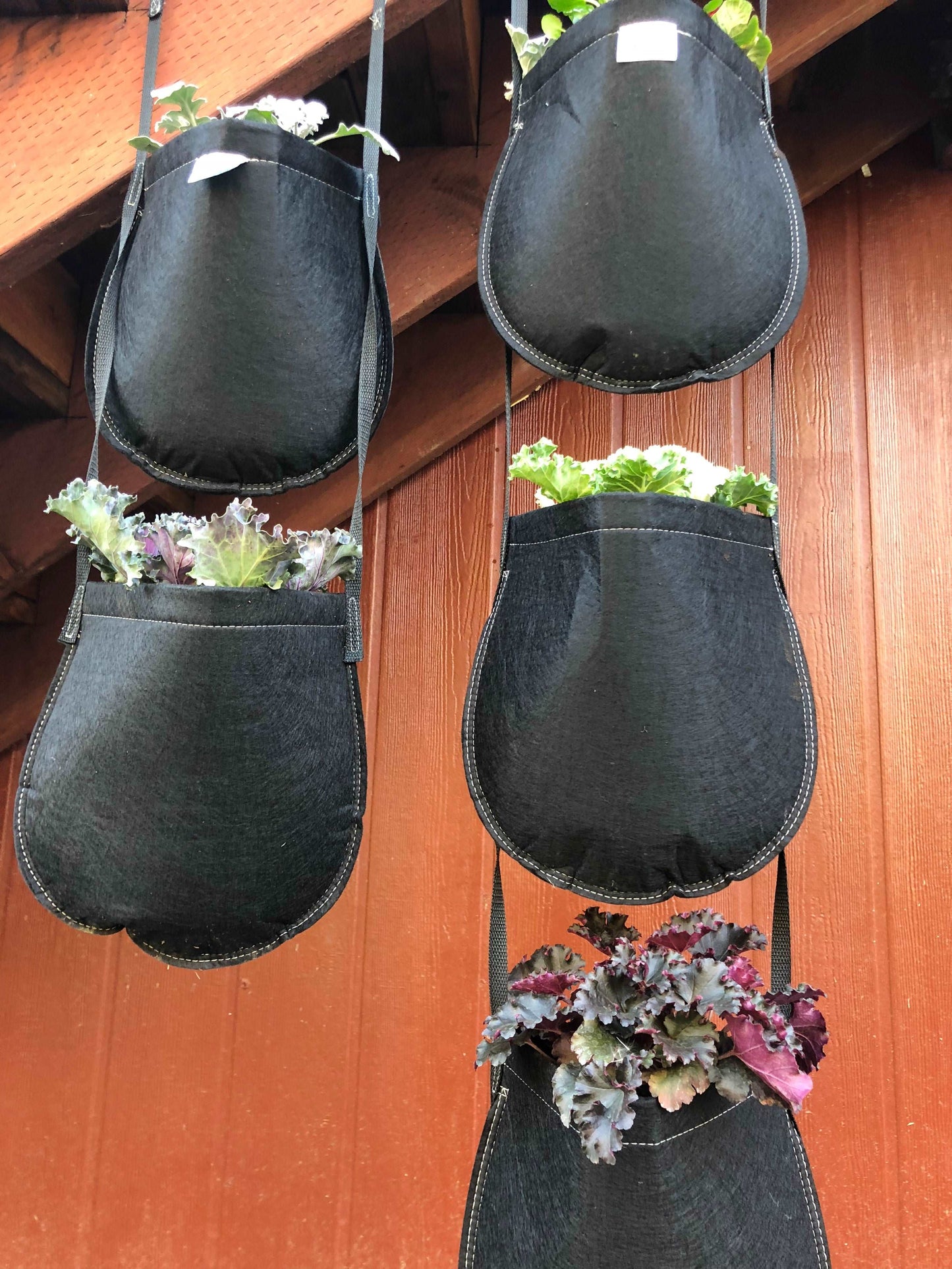 GeoPot Hanging Garden Plant Pouches