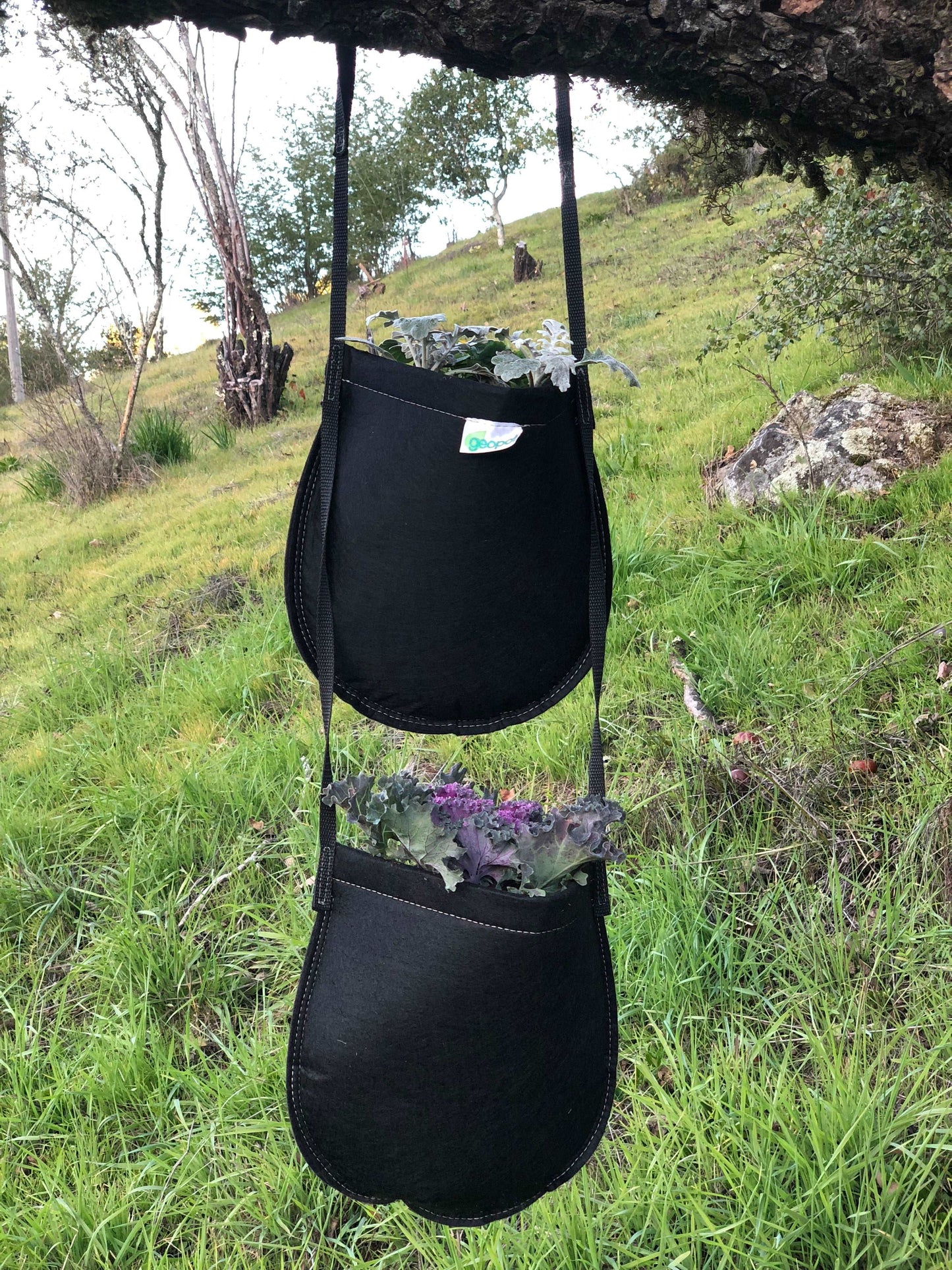 GeoPot Hanging Garden Plant Pouches