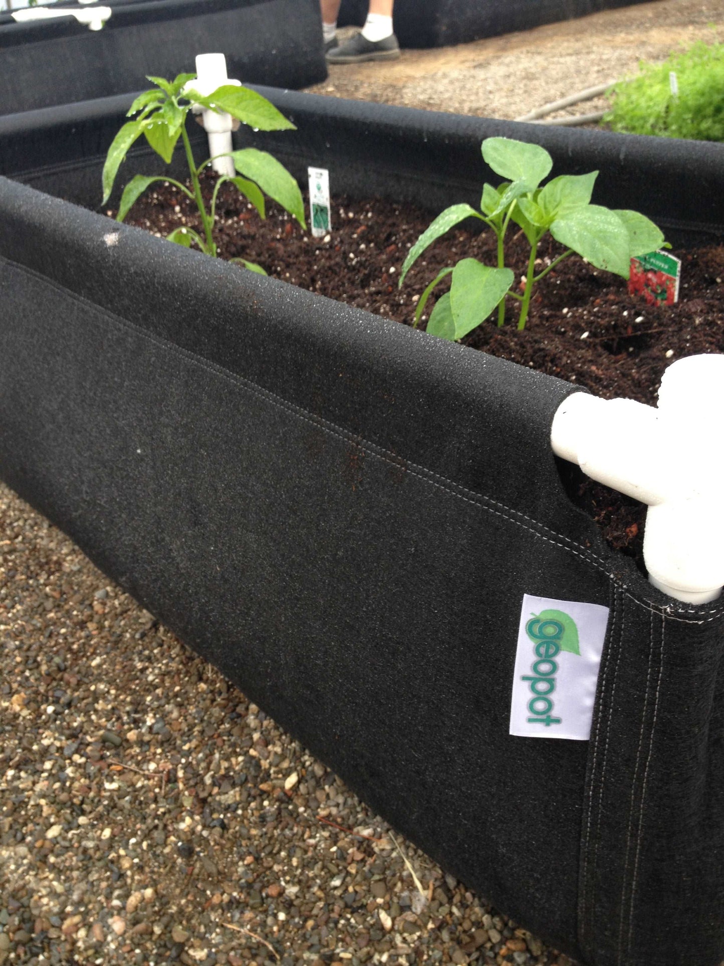 GeoPlanter Fabric Raised Beds