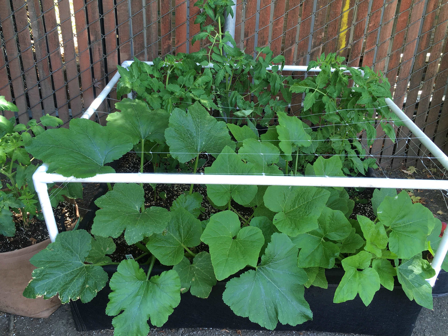 GeoPlanter Fabric Raised Bed Trellis Kit