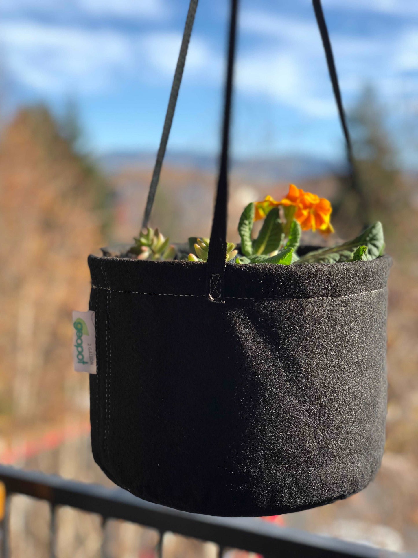 Hanging Garden Basket