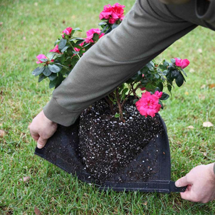 GeoPot Velcro Transplanter Grow Bags - Black