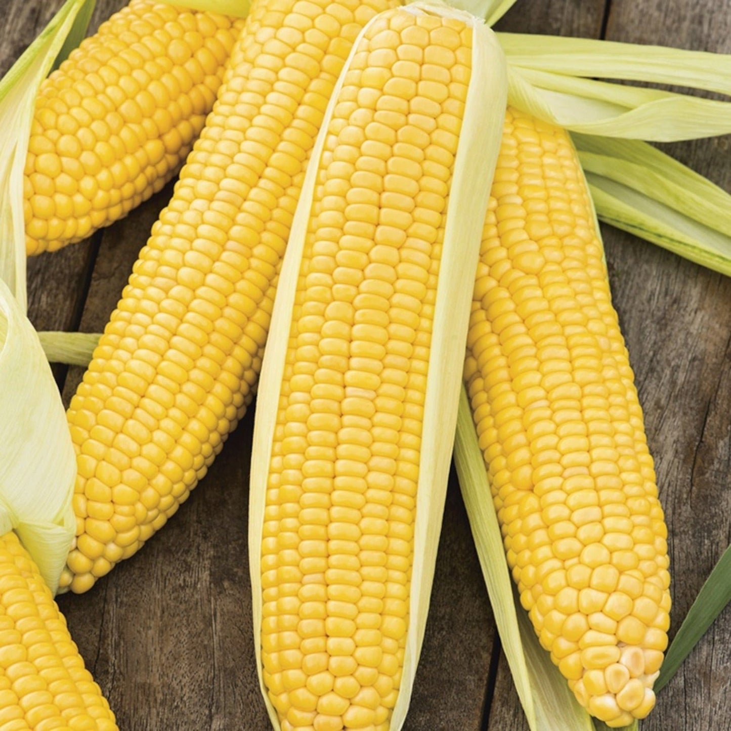 Incredible Yellow Sweet Corn Treated Seeds