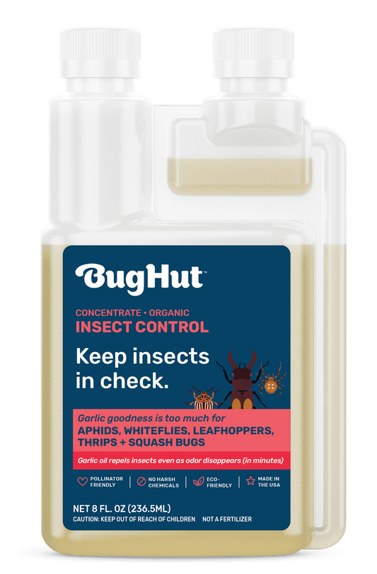 Insect Control