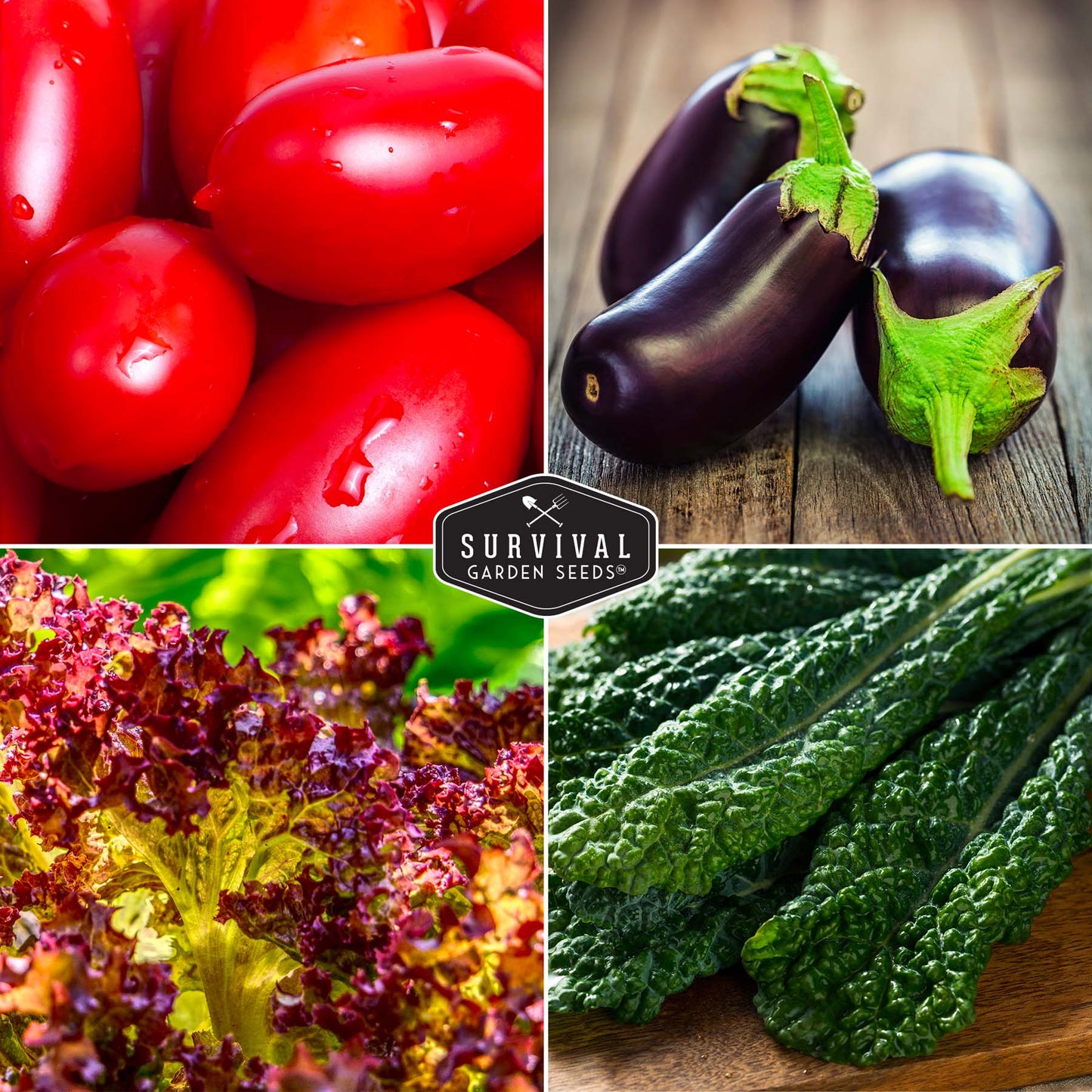 Italian Collection - Romanesco Broccoli, Black Beauty Eggplant, Lacinato Kale, Lolla Rossa Lettuce, Marconi Red Pepper, Roma Tomato