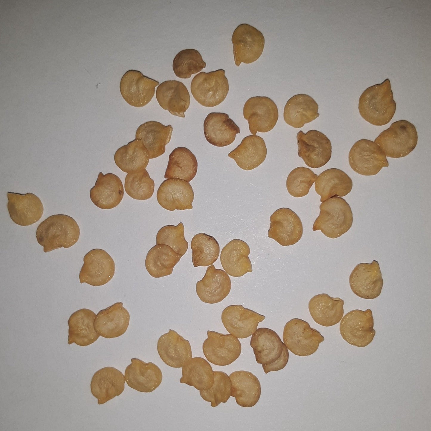 California Wonder Sweet Bell Pepper Heirloom Seeds