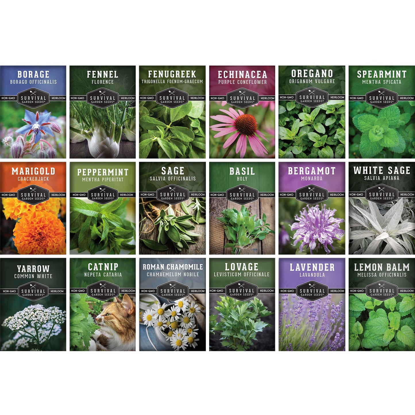 Medicinal Herb Collection - 18 Medicinal Herbs