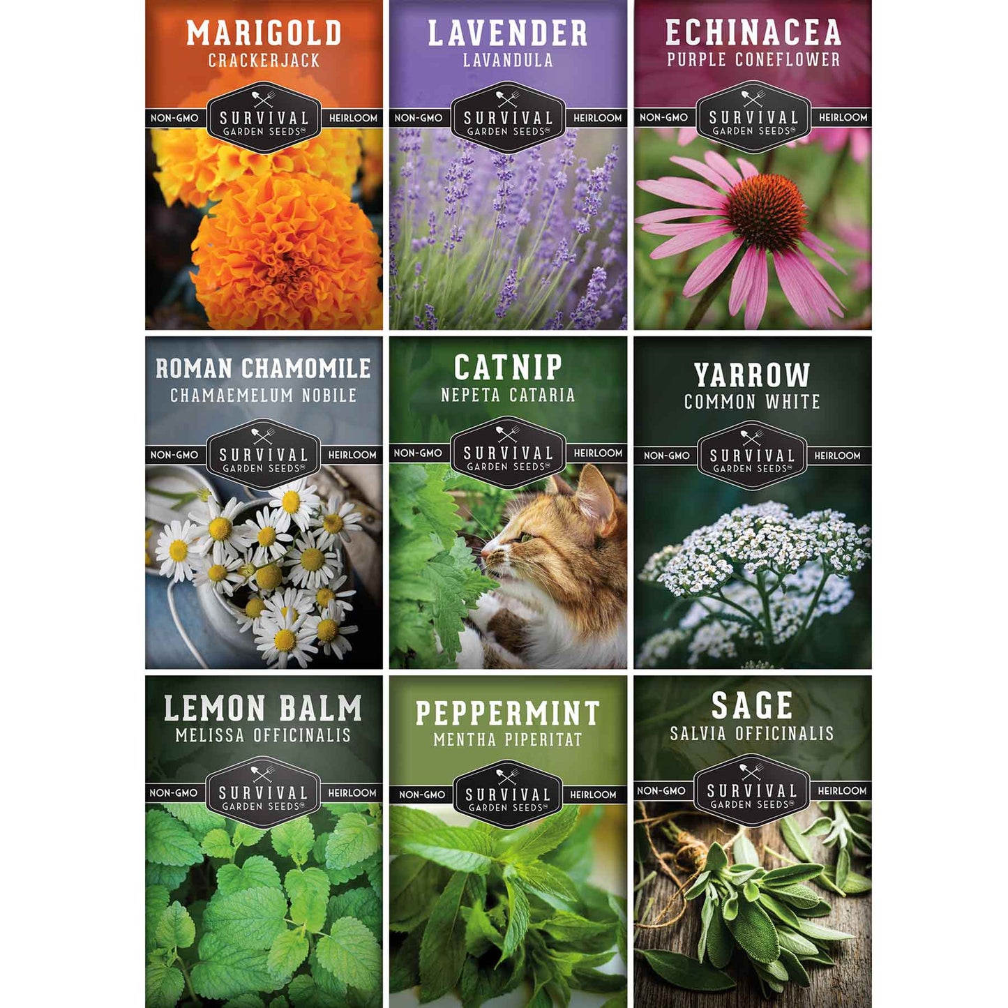 Medicinal Tea Seed Collection - 9 Flowers and Herbs for Medicinal Tea