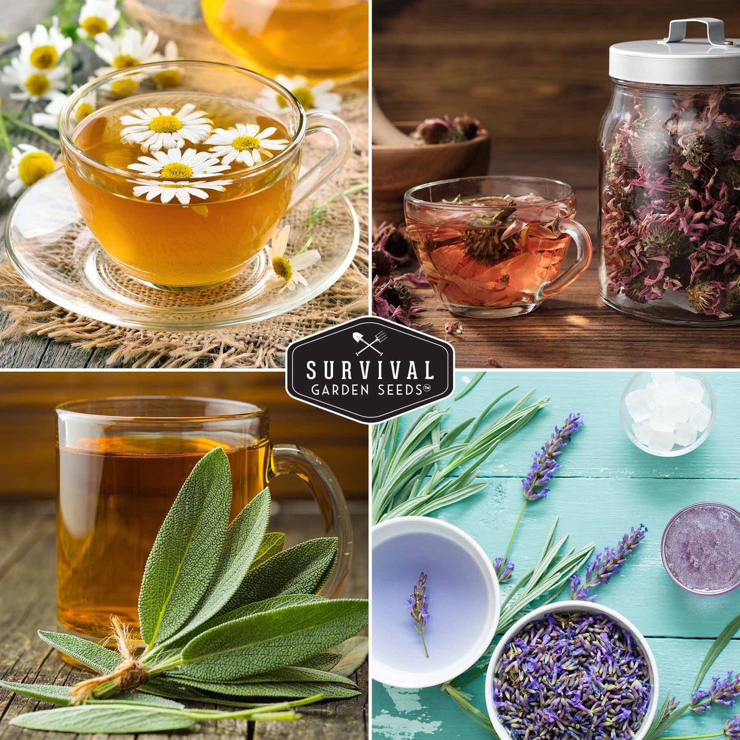 Medicinal Tea Seed Collection - 9 Flowers and Herbs for Medicinal Tea