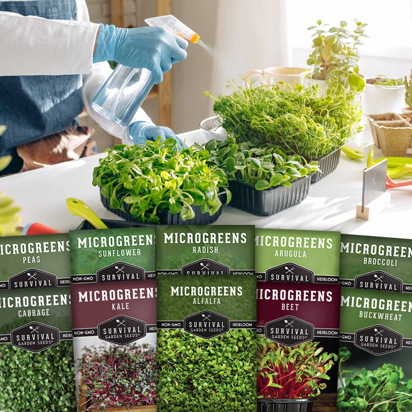 Microgreens 10 Variety Seed Kit