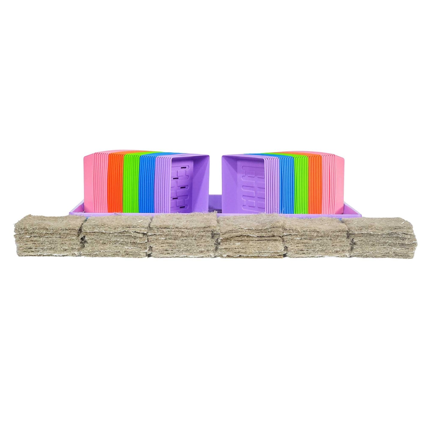 Classroom Microgreens Bundle