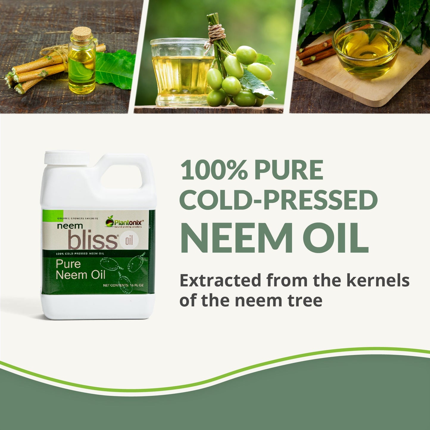 Neem Bliss - 100% Pure Cold Pressed Neem Oil