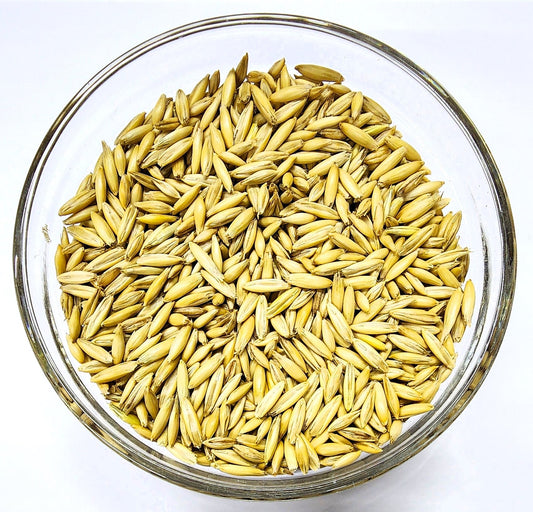 Spring Oats OG