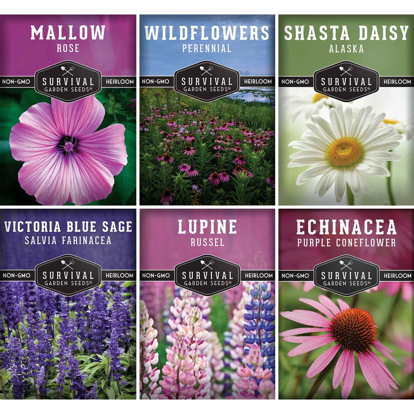 Perennial Flowers Mix - Shasta Daisy, Echinacea, Russell Lupine, Rose Mallow, Blue Sage, and Perennial Wildflower Mix
