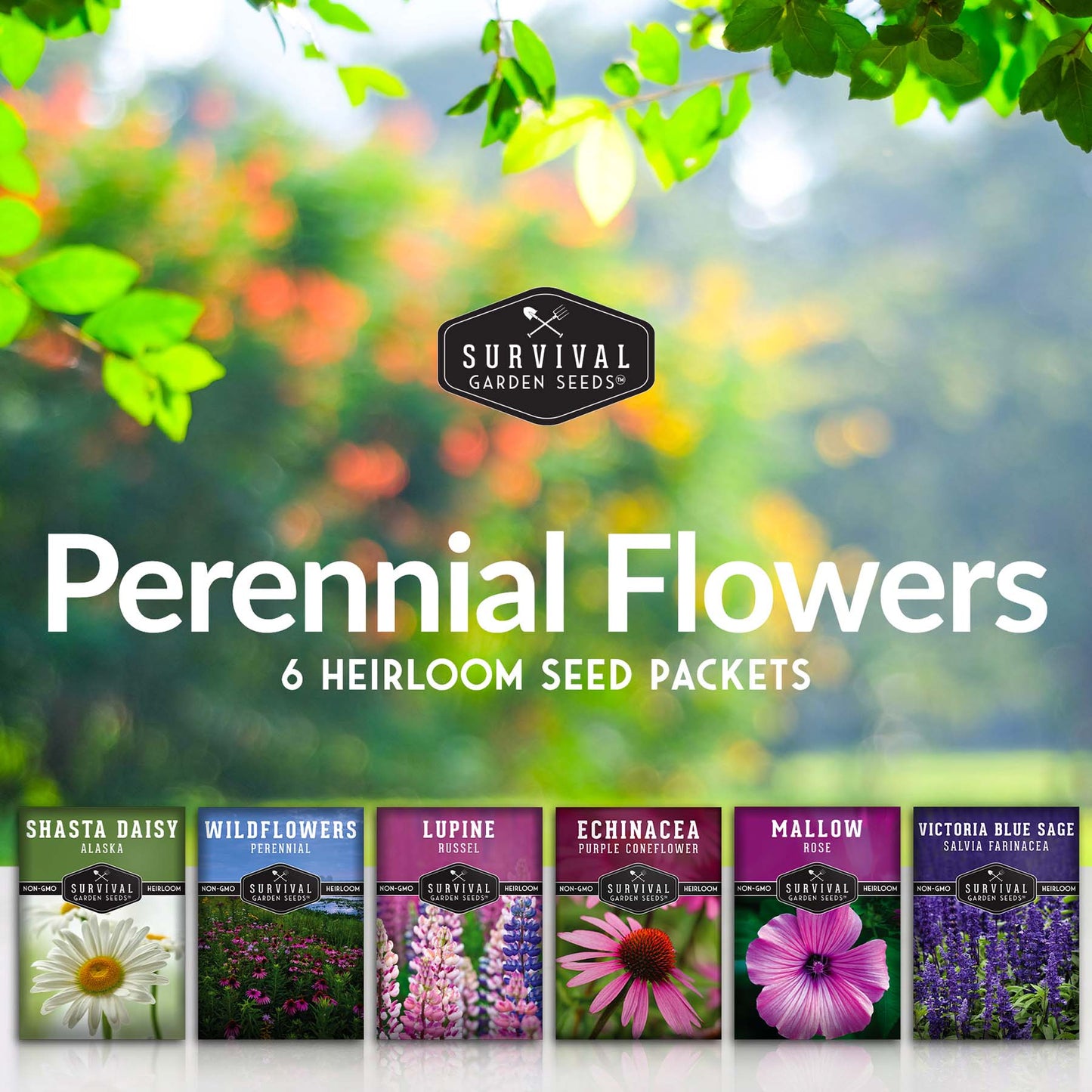 Perennial Flowers Mix - Shasta Daisy, Echinacea, Russell Lupine, Rose Mallow, Blue Sage, and Perennial Wildflower Mix