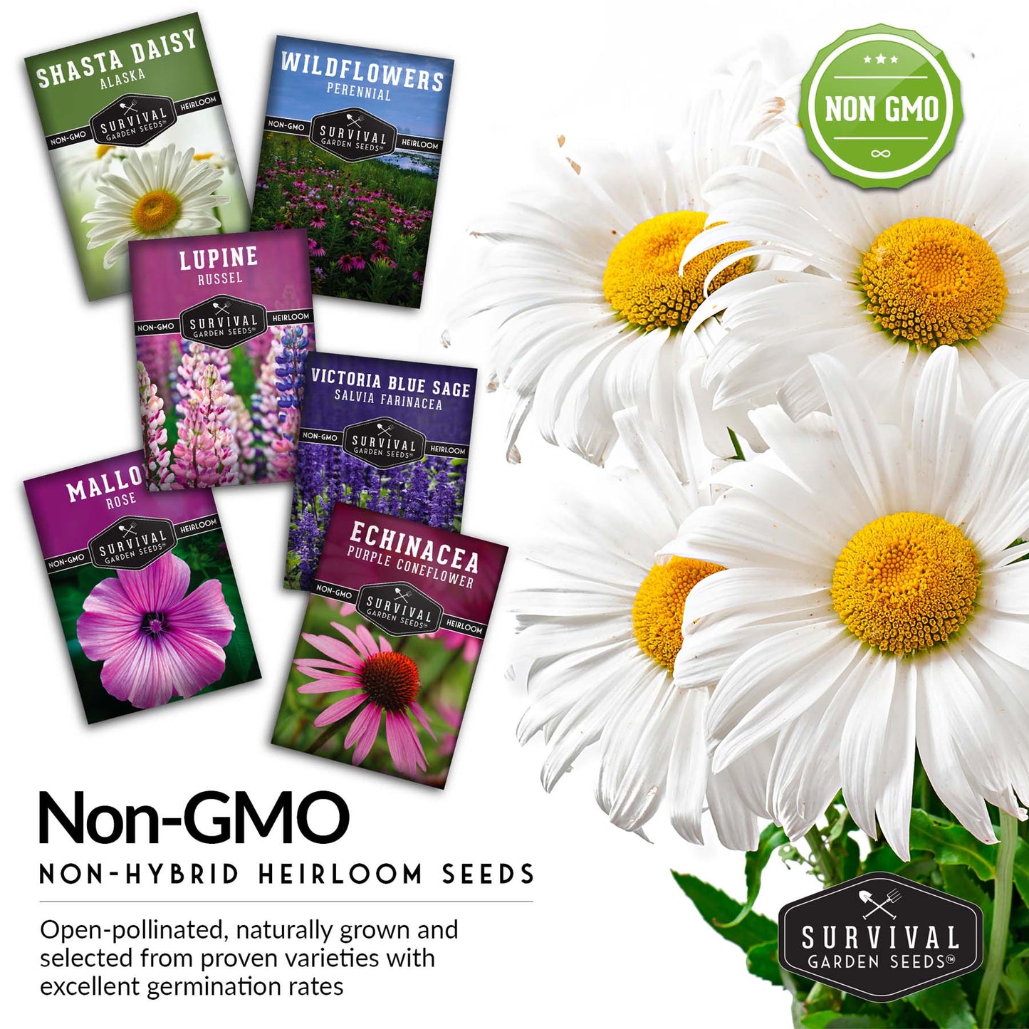 Perennial Flowers Mix - Shasta Daisy, Echinacea, Russell Lupine, Rose Mallow, Blue Sage, and Perennial Wildflower Mix