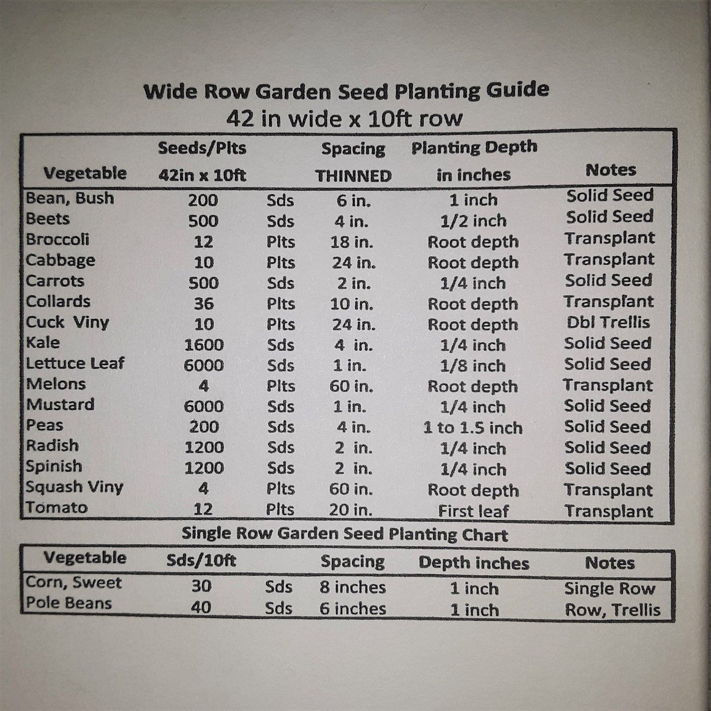 Appalachian Hybrid Broccoli Seeds