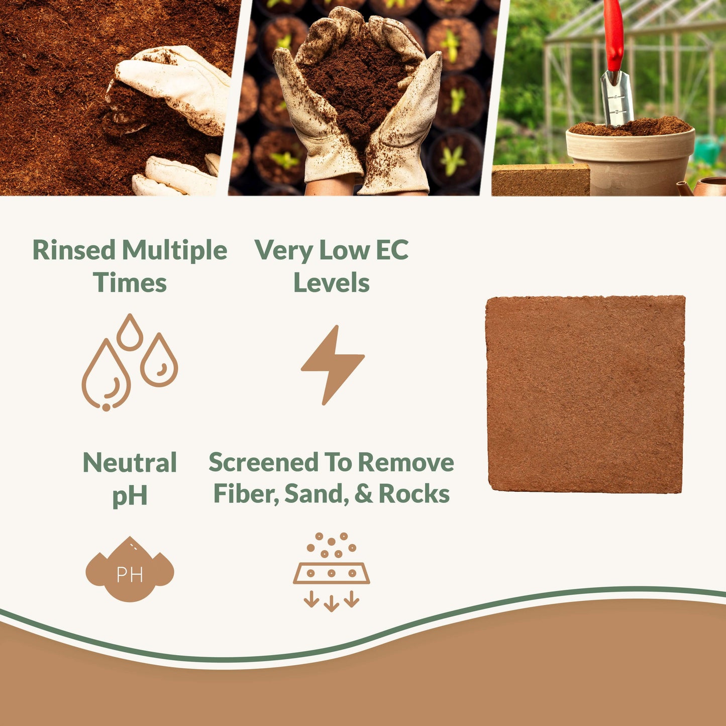 Coco Bliss - 250g Coco Coir Bricks