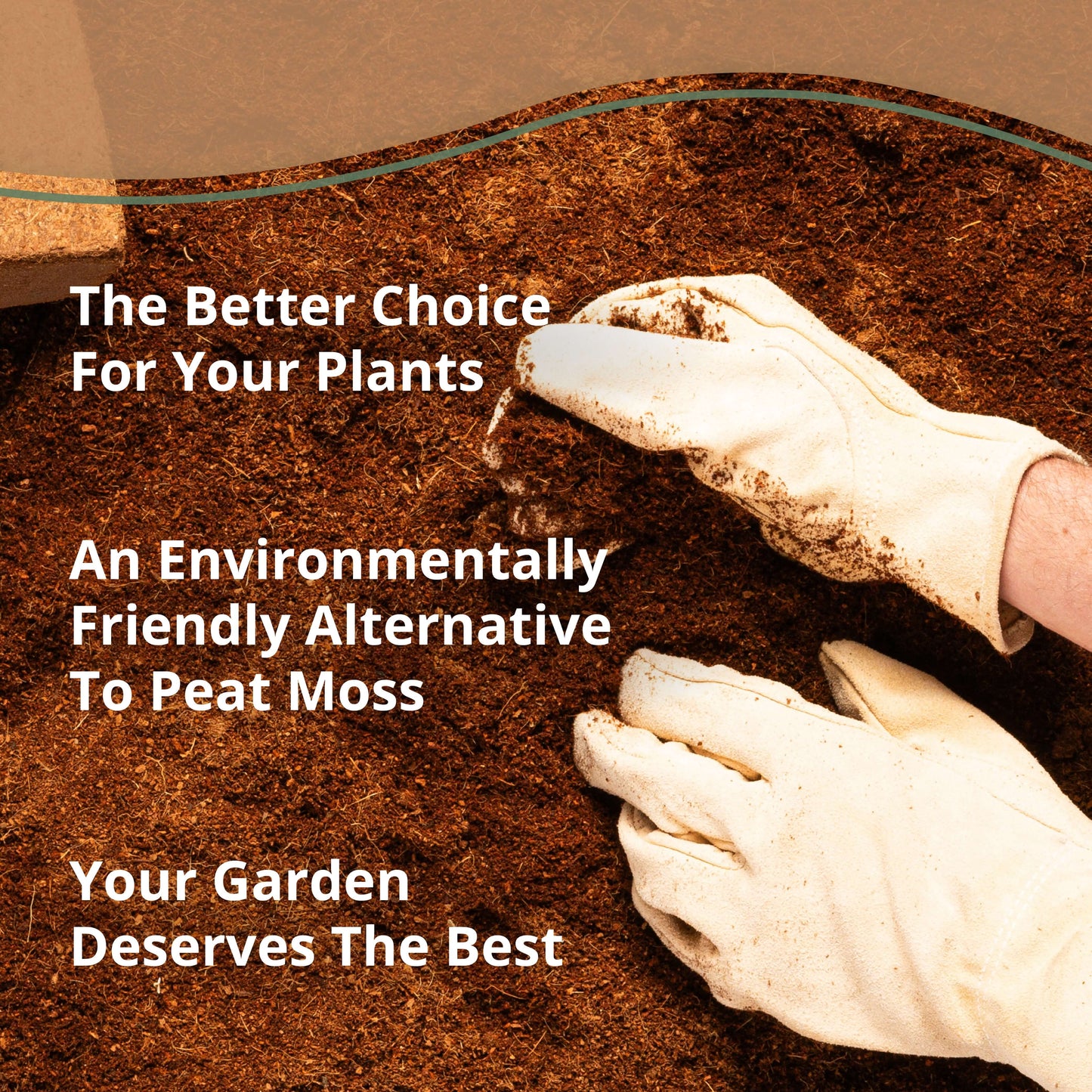 Coco Bliss - 250g Coco Coir Bricks