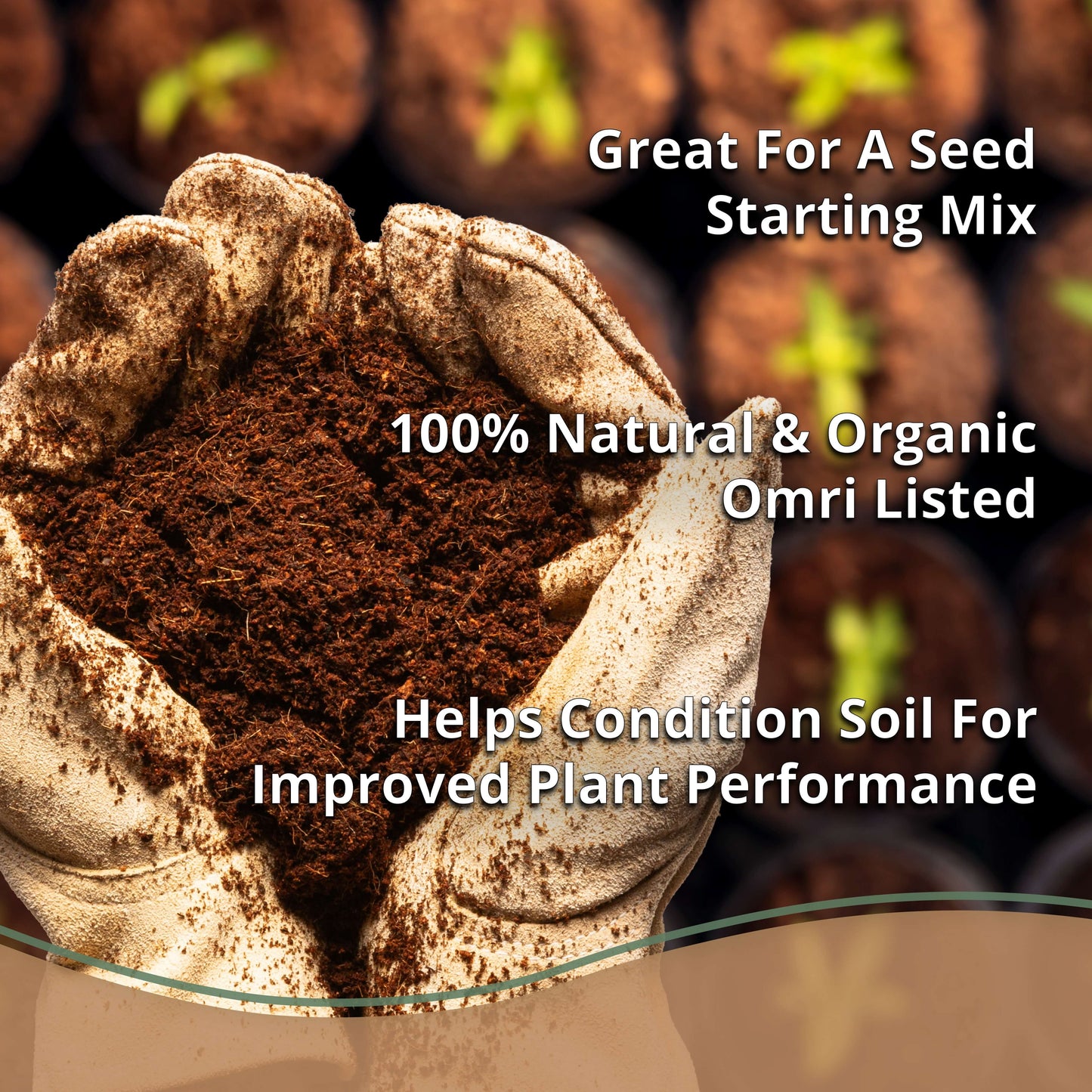 Coco Bliss - 250g Coco Coir Bricks