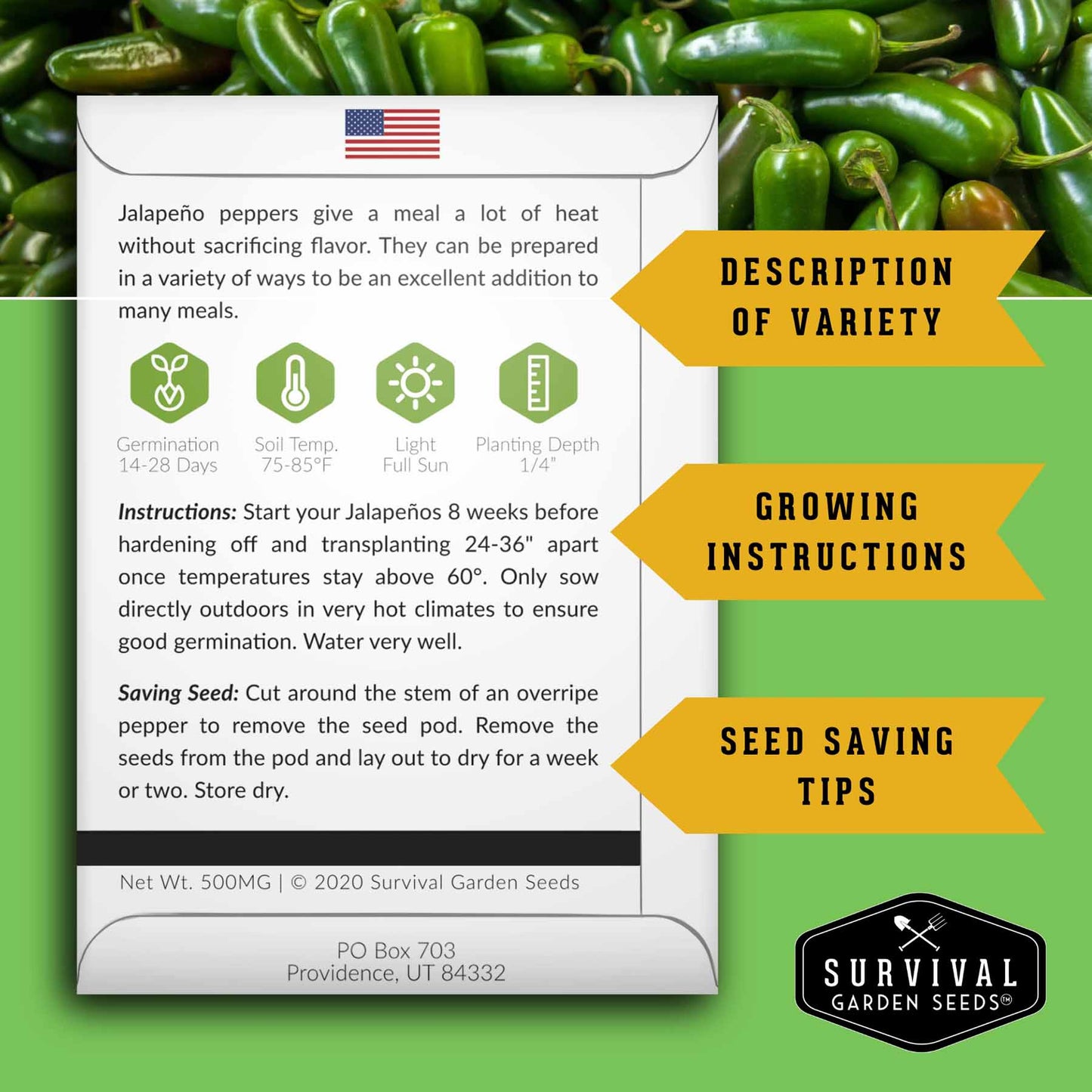 Salsa Ingredients Seed Collection