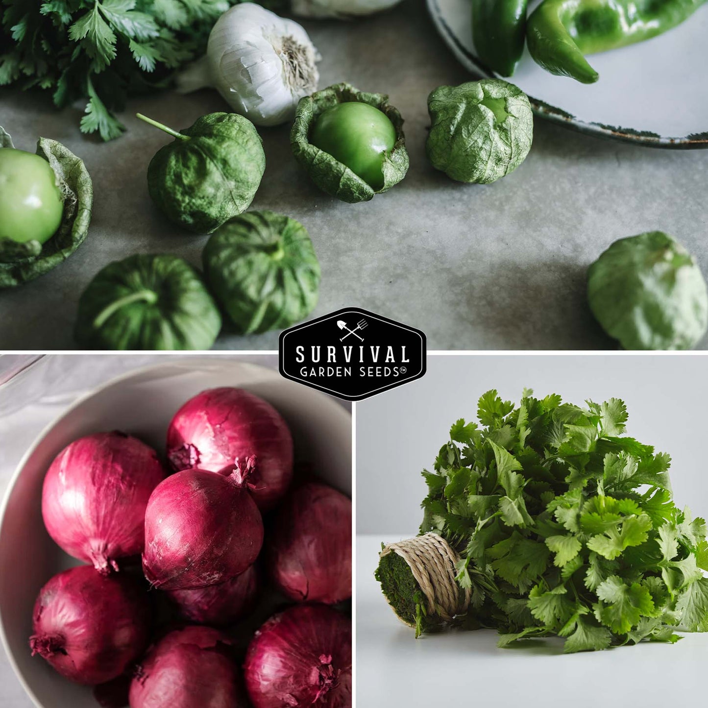 Salsa Ingredients Seed Collection